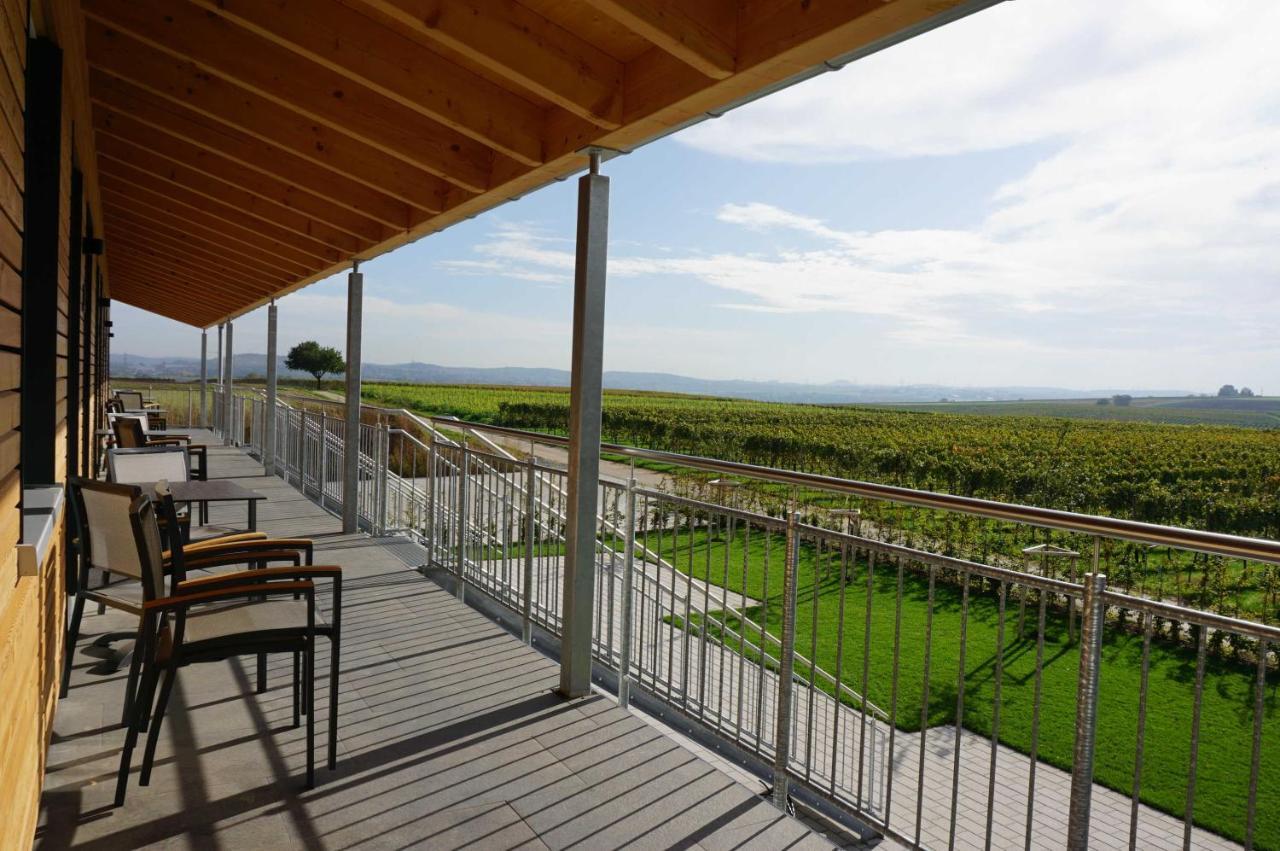 Weingut Schaaf Apartment ลอฟเฟน อัม เนคคาร์ ภายนอก รูปภาพ